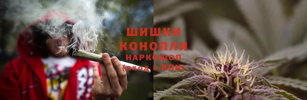 spice Абаза