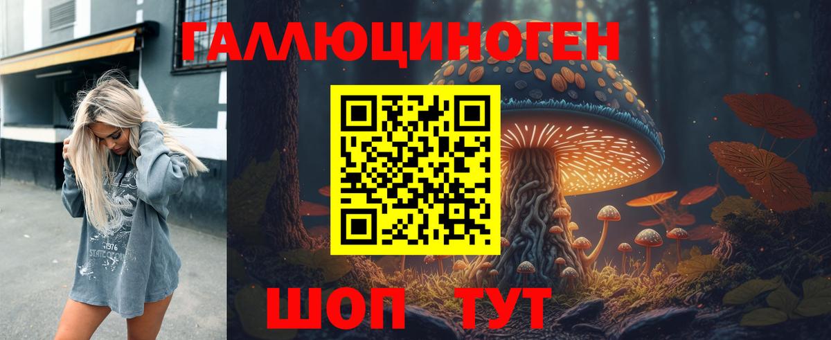Красноармейск  Псилоцибиновые грибы Psilocybine cubensis  Вход с VPN 